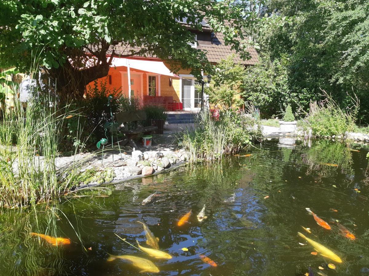 Salus Spreewald - Erholung & Natur - Kolonie (Spree-Neisse) Exterior foto